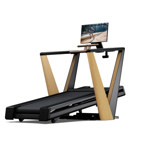 COMMERCIAL 2450 Treadmill