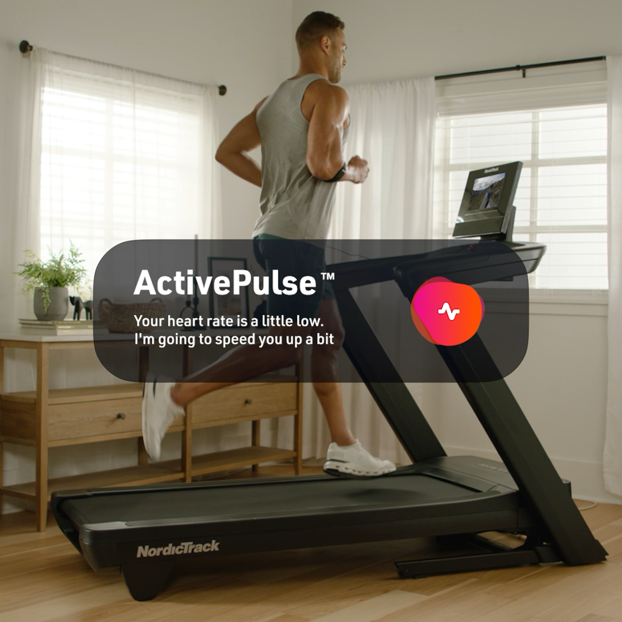 COMMERCIAL 2450 Treadmill